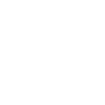 Lviv MUN_white